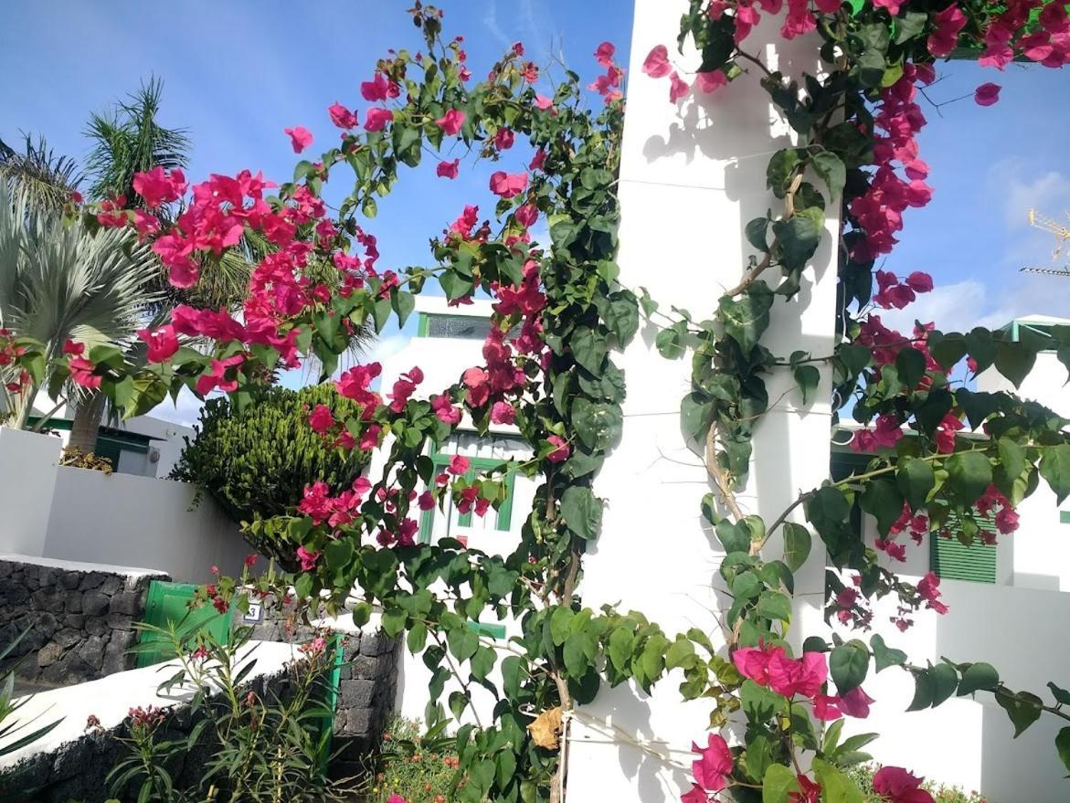 Casa Maracuya Villa Коста Тегисе Екстериор снимка