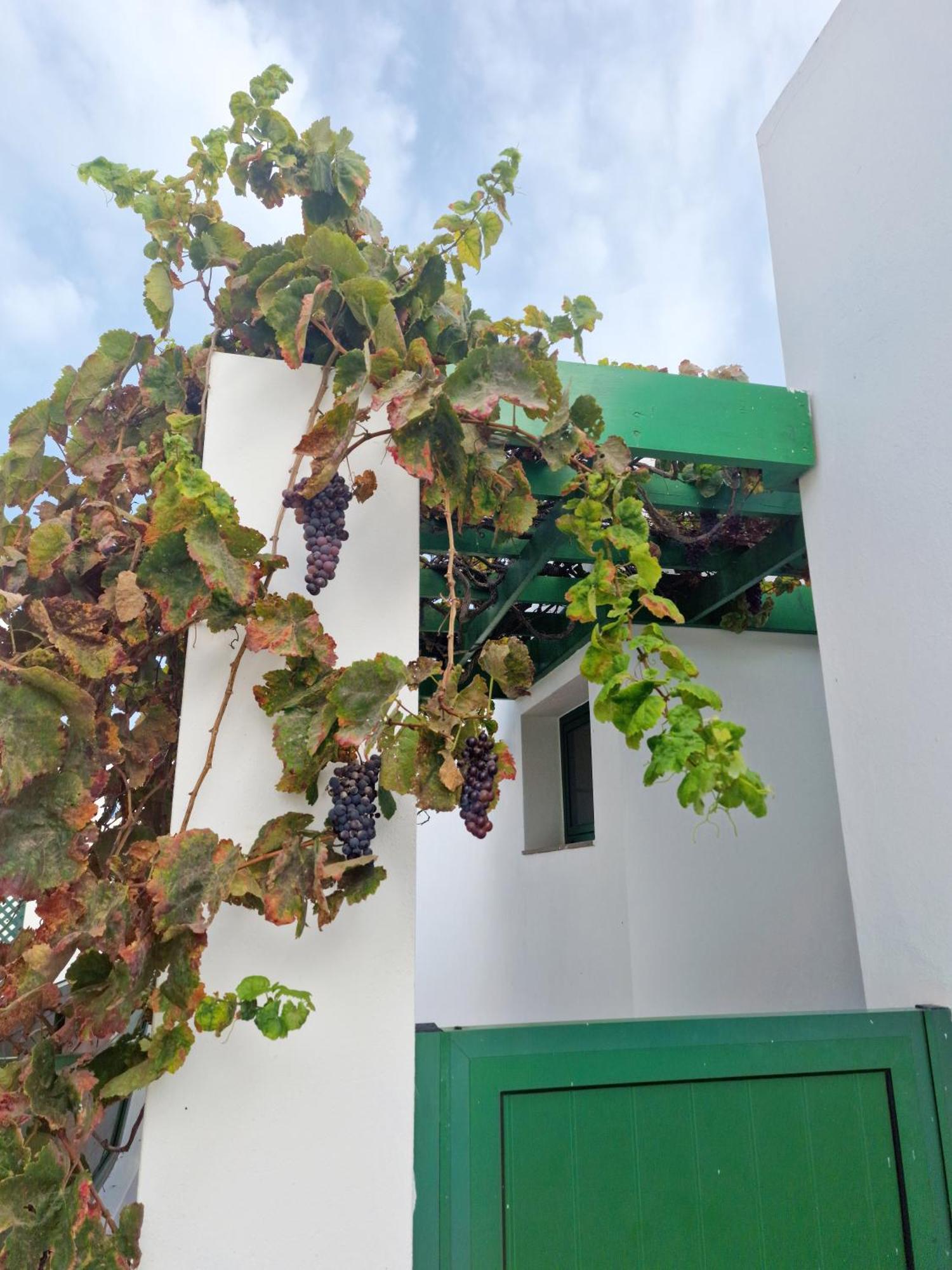 Casa Maracuya Villa Коста Тегисе Екстериор снимка